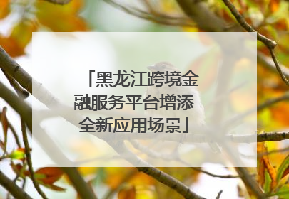 黑龙江跨境金融服务平台增添全新应用场景