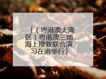 （粤港澳大湾区）粤港澳三地海上搜救联合演习在港举行