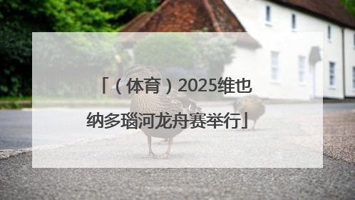 （体育）2025维也纳多瑙河龙舟赛举行