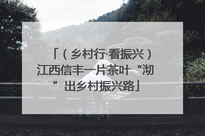 （乡村行·看振兴）江西信丰一片茶叶“沏”出乡村振兴路