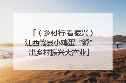 （乡村行·看振兴）江西赣县小鸡蛋“孵”出乡村振兴大产业