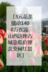 3元花茶撬动1400万客流 山西这座古城靠低价理念变网红景区