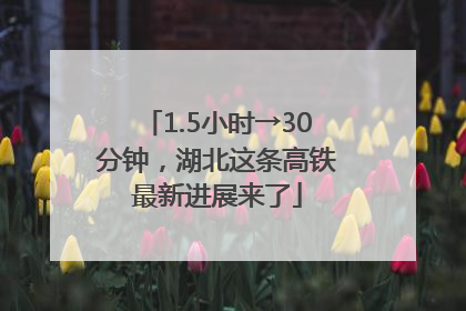1.5小时→30分钟，湖北这条高铁最新进展来了