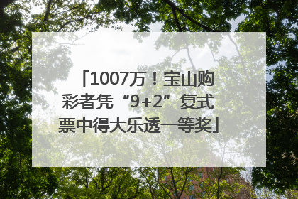 1007万！宝山购彩者凭“9+2”复式票中得大乐透一等奖