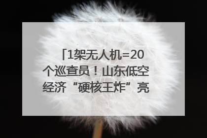 1架无人机=20个巡查员！山东低空经济“硬核王炸”亮相青岛，下一个万亿赛道藏在这里