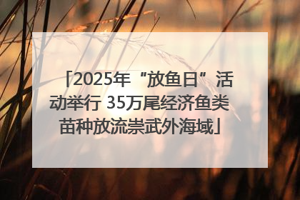 2025年“放鱼日”活动举行 35万尾经济鱼类苗种放流崇武外海域