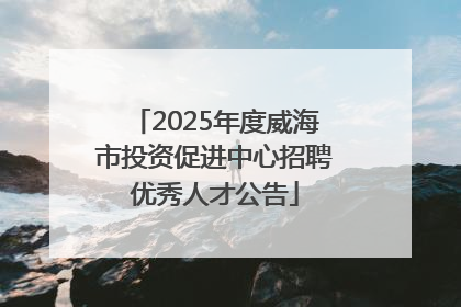 2025年度威海市投资促进中心招聘优秀人才公告