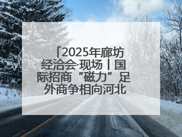 2025年廊坊经洽会·现场丨国际招商“磁力”足 外商争相向河北推介项目