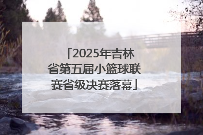 2025年吉林省第五届小篮球联赛省级决赛落幕