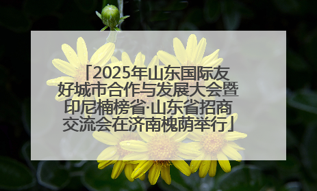 2025年山东国际友好城市合作与发展大会暨印尼楠榜省·山东省招商交流会在济南槐荫举行