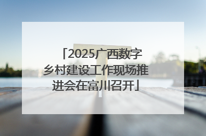 2025广西数字乡村建设工作现场推进会在富川召开