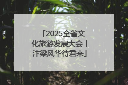 2025全省文化旅游发展大会丨汴梁风华待君来