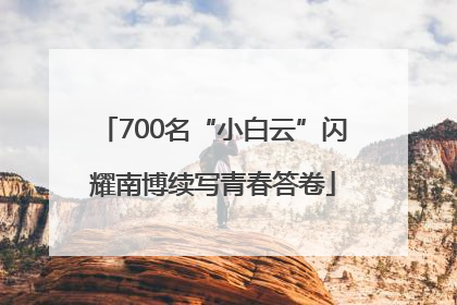 700名“小白云”闪耀南博续写青春答卷