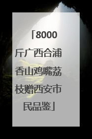 8000斤广西合浦香山鸡嘴荔枝赠西安市民品鉴