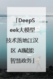 DeepSeek大模型技术落地江汉区 AI赋能智慧政务